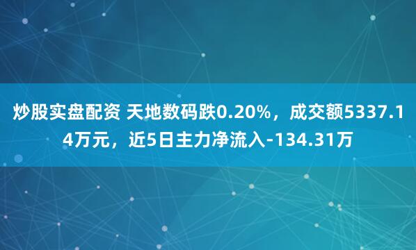 炒股实盘配资 天地数码跌0.20%，成交额5337.14万元，近5日主力净流入-134.31万