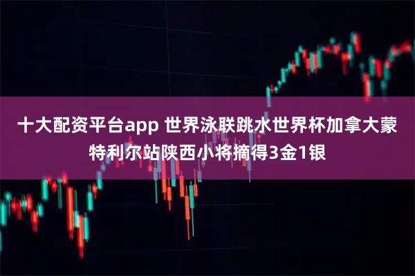 十大配资平台app 世界泳联跳水世界杯加拿大蒙特利尔站陕西小将摘得3金1银