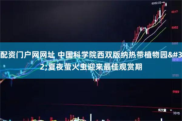 配资门户网网址 中国科学院西双版纳热带植物园 夏夜萤火虫迎来最佳观赏期
